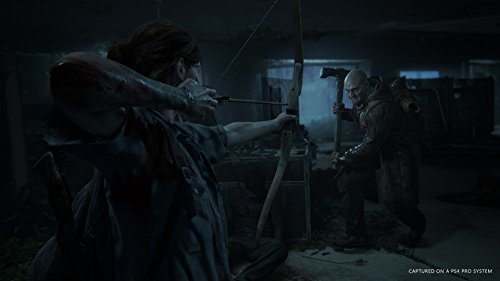 Amazon.com: The Last of Us Part II - Standard Edition [Playstation 4] (Uncut) : Video Games