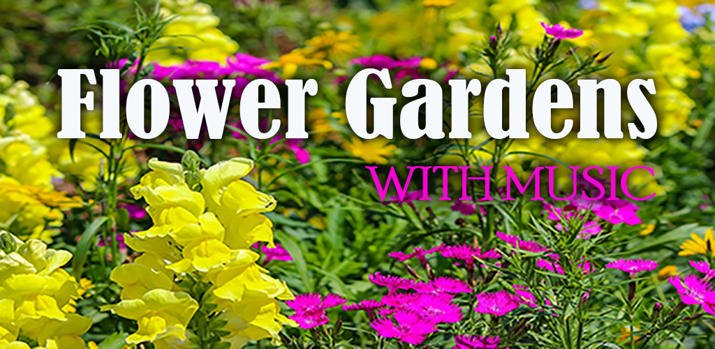 Flower Gardens with Music