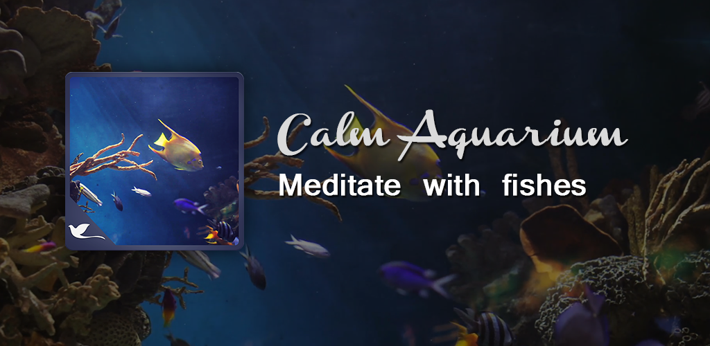 Calm Aquarium - Meditate with Fishes