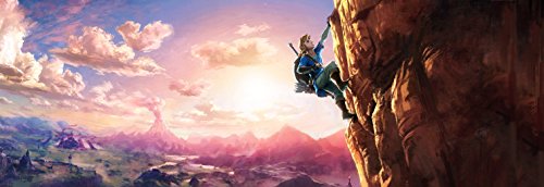 Amazon.com: The Legend of Zelda: Breath of the Wild - Wii U : Everything Else