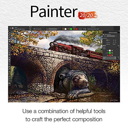 Amazon.com: Corel Painter 2020 Digital Art Studio [PC/Mac Disc][Old Version] : Everything Else