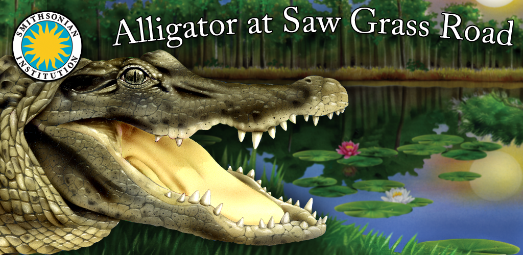 Alligator at Saw Grass Road - Smithsonian's Backyard