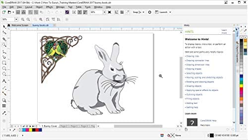 Amazon.com: Corel CorelDRAW 2017 Training on 2 DVDs 182 Videos 11 Hours Computer Software Tutorial