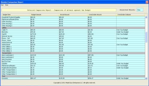 Amazon.com: Home Budget Planner 1.0 for Windows [Download] : Software