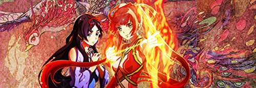 Amazon.com: GOD WARS: Future Past - PlayStation Vita : Everything Else