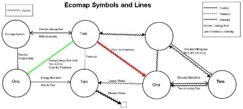 Amazon.com: Genogram Analytics, Student Edition