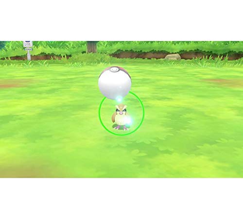 Amazon.com: Nintendo Pokemon: Let's Go, Pikachu! (Nintendo Switch) - Switch : Video Games