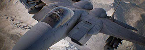 Amazon.com: Ace Combat 7: Skies Unknown - Xbox One : Bandai Namco Games Amer: Everything Else