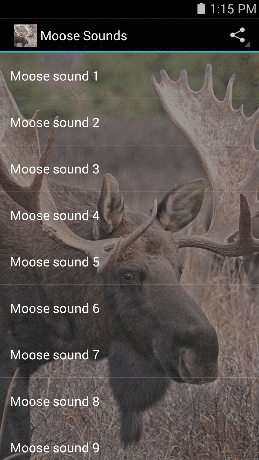 Moose Sounds